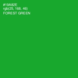 #19A82E - Forest Green Color Image