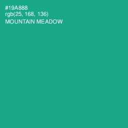 #19A888 - Mountain Meadow Color Image