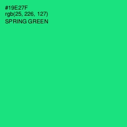 #19E27F - Spring Green Color Image