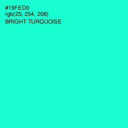#19FED0 - Bright Turquoise Color Image