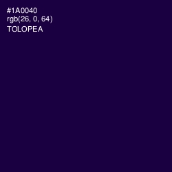 #1A0040 - Tolopea Color Image