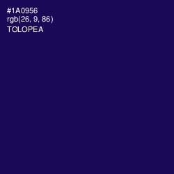 #1A0956 - Tolopea Color Image