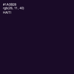 #1A0B28 - Haiti Color Image