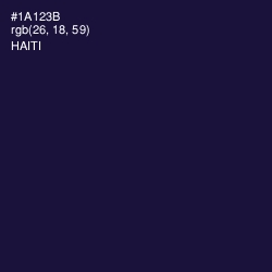 #1A123B - Haiti Color Image