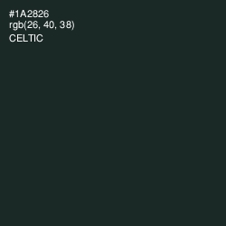 #1A2826 - Celtic Color Image
