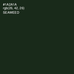#1A2A1A - Seaweed Color Image