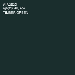 #1A2E2D - Timber Green Color Image