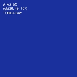 #1A319D - Torea Bay Color Image