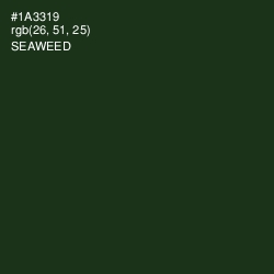 #1A3319 - Seaweed Color Image