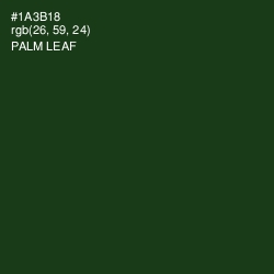 #1A3B18 - Palm Leaf Color Image