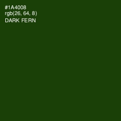 #1A4008 - Dark Fern Color Image