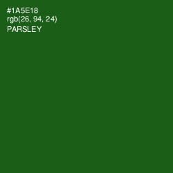 #1A5E18 - Parsley Color Image