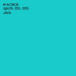 #1ACBCB - Java Color Image