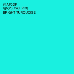 #1AF0DF - Bright Turquoise Color Image