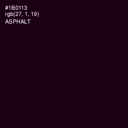 #1B0113 - Asphalt Color Image