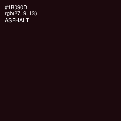 #1B090D - Asphalt Color Image