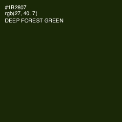 #1B2807 - Deep Forest Green Color Image