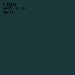 #1B383B - Gable Green Color Image