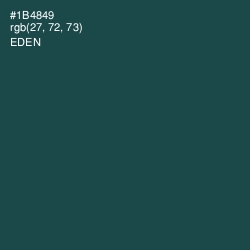 #1B4849 - Eden Color Image