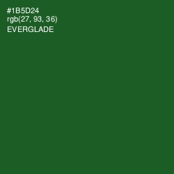 #1B5D24 - Everglade Color Image