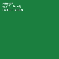 #1B803F - Forest Green Color Image