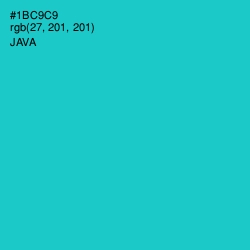 #1BC9C9 - Java Color Image