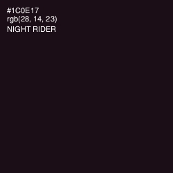 #1C0E17 - Night Rider Color Image