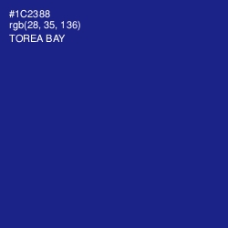 #1C2388 - Torea Bay Color Image