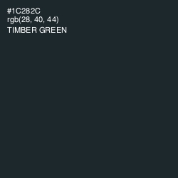 #1C282C - Timber Green Color Image