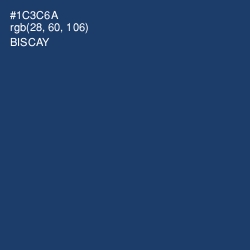 #1C3C6A - Biscay Color Image