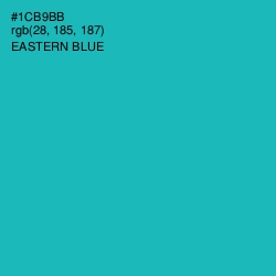 #1CB9BB - Eastern Blue Color Image