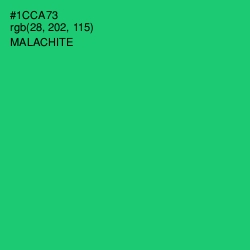 #1CCA73 - Malachite Color Image