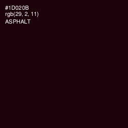 #1D020B - Asphalt Color Image