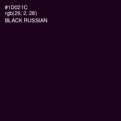 #1D021C - Black Russian Color Image
