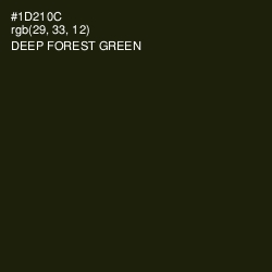 #1D210C - Deep Forest Green Color Image