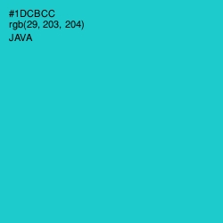 #1DCBCC - Java Color Image
