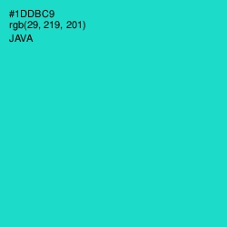 #1DDBC9 - Java Color Image