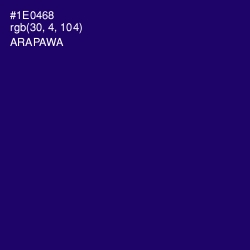 #1E0468 - Arapawa Color Image