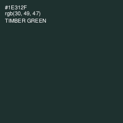 #1E312F - Timber Green Color Image