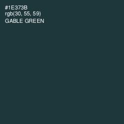 #1E373B - Gable Green Color Image