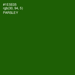 #1E5E05 - Parsley Color Image