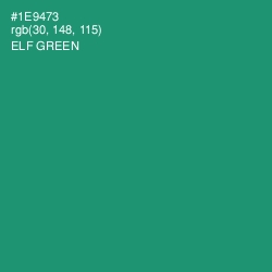#1E9473 - Elf Green Color Image
