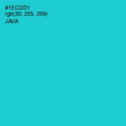 #1ECDD1 - Java Color Image