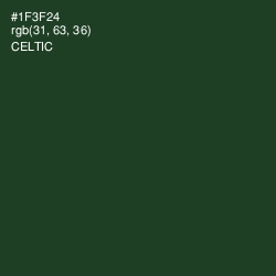 #1F3F24 - Celtic Color Image