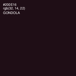 #200E16 - Gondola Color Image