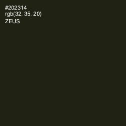 #202314 - Zeus Color Image