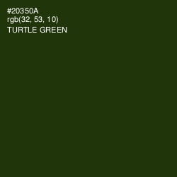 #20350A - Turtle Green Color Image