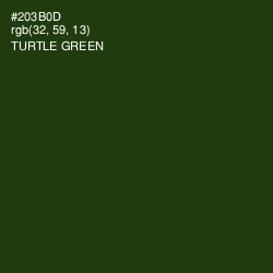 #203B0D - Turtle Green Color Image