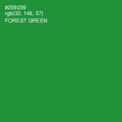 #209239 - Forest Green Color Image