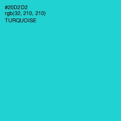 #20D2D2 - Turquoise Color Image